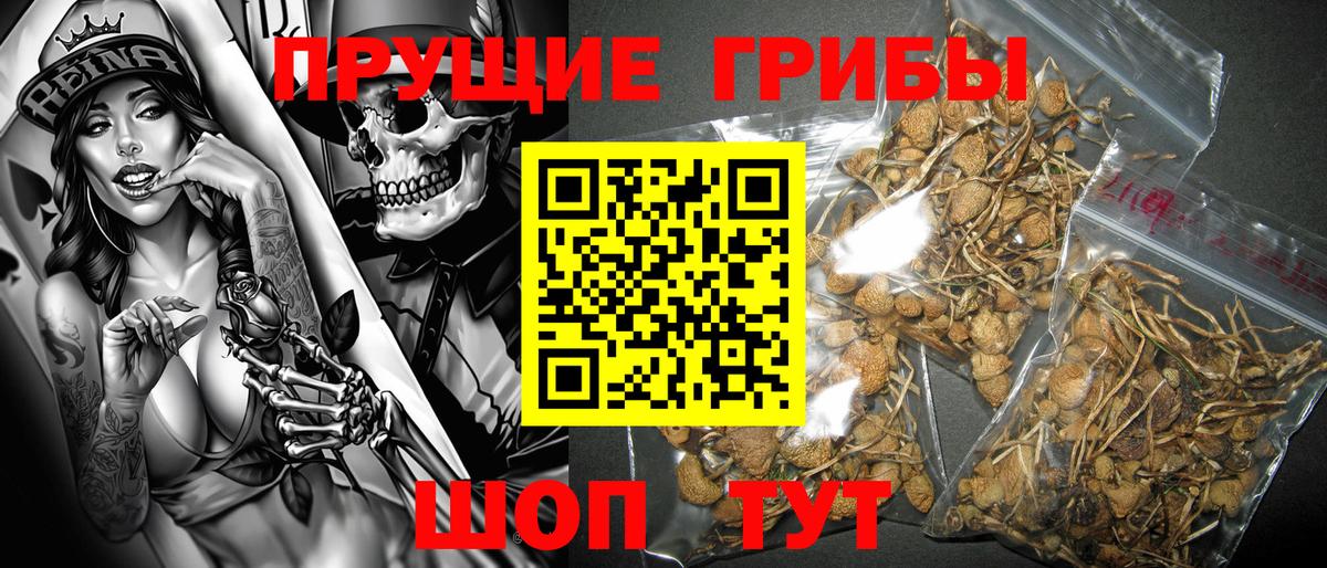 Галлюциногенные грибы мицелий Йошкар-Ола